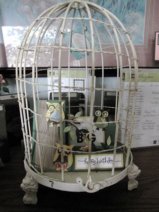 Owl in cage