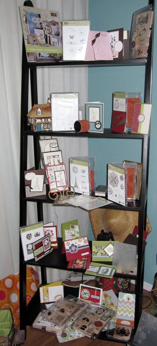 New Catty