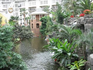 IMG_1216