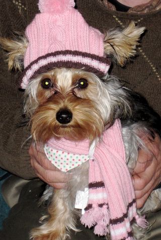 IMG_1098 IMG_1098