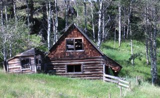 Mckenzie Homestead Mckenzie Homestead