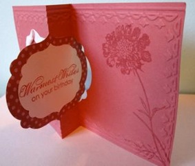 IMG_3403 IMG_3403