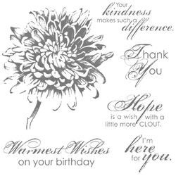 Blooming with Kindness Blooming with Kindness