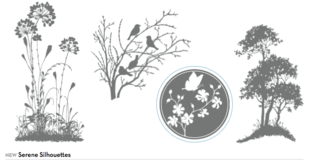Serene silhouettes