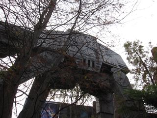 IMG_4435 IMG_4435