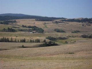 DSCF0706 DSCF0706