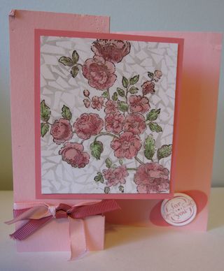 IMG_5049 IMG_5049