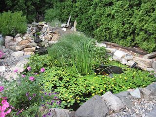 IMG_5715_2 IMG_5715_2