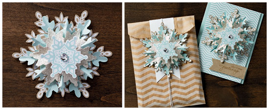 DemoHeader_snowflakeornament_demo_Nov13_NA-2 DemoHeader_snowflakeornament_demo_Nov13_NA-2