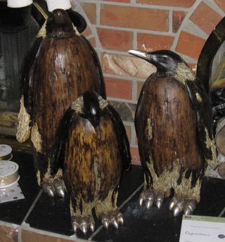 IMG_5884 IMG_5884
