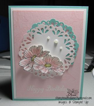 IMG_6343 IMG_6343