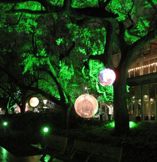 IMG_6243 IMG_6243