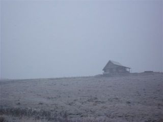 DSCF0857