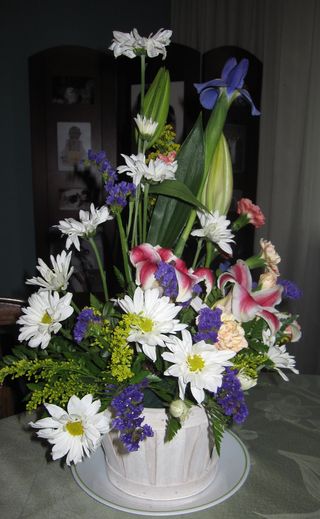 IMG_6568 IMG_6568