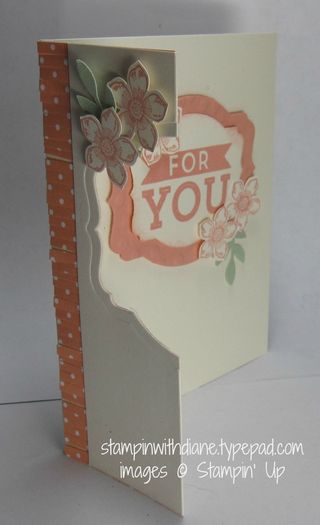 IMG_6565 IMG_6565
