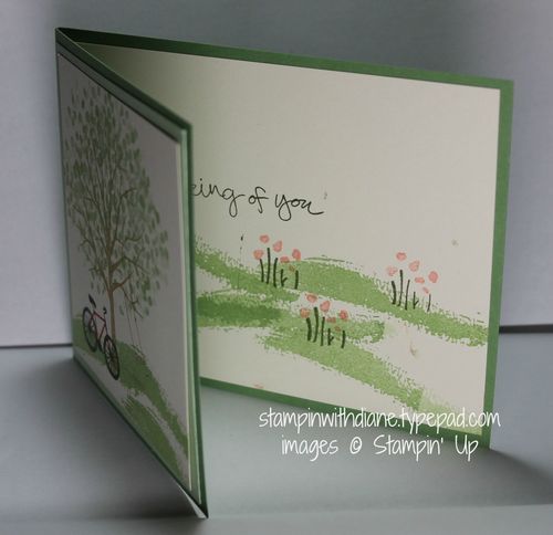 IMG_0663 IMG_0663