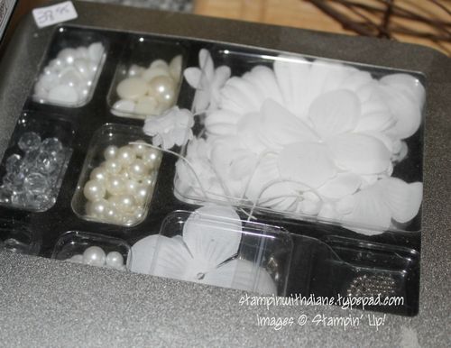 IMG_1440 IMG_1440