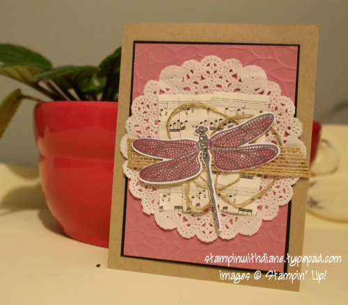 IMG_1664 IMG_1664