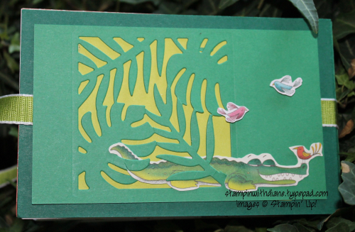 IMG_3212 IMG_3212