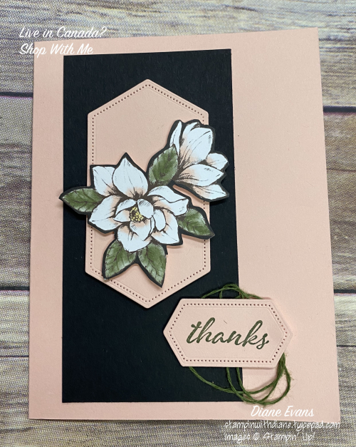 Diane Evans Magnolia Lane DSP Stampin' Up!