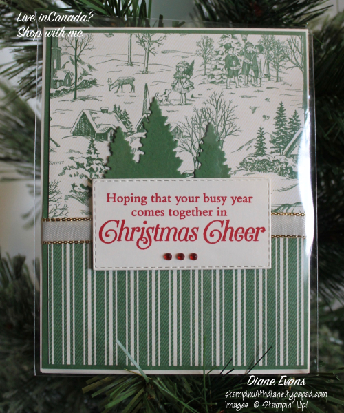 Diane Evans Stampin' Up! Toiletidings Diane Evans Stampin' Up! Toiletidings