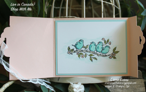 Diane Evans Stampin' Up! Free As a Bird 2 Diane Evans Stampin' Up! Free As a Bird 2