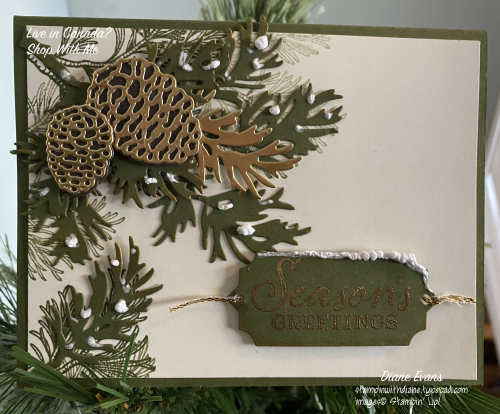 Diane Evans Stampin' Up!® Peaceful Boughs Diane Evans Stampin' Up!® Peaceful Boughs