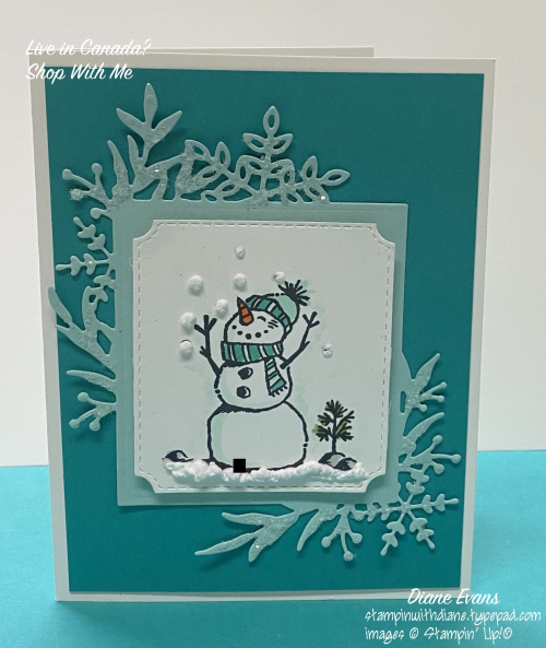 Diane Evans Snowman Seaason 2