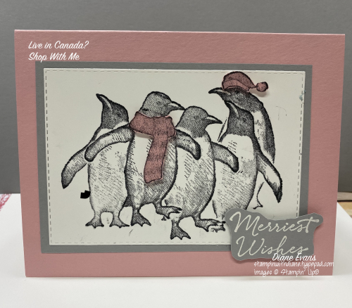Diane Evans Playful Penguins Stampin' Up! Diane Evans Playful Penguins Stampin' Up!