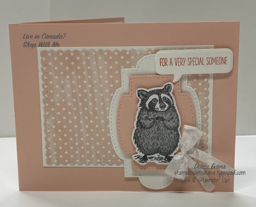 Diane Evans Special Someone Stampin' Up!