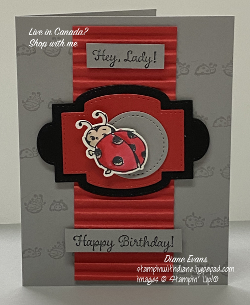 Diane Evans Little Ladybug Stampin' Up!®