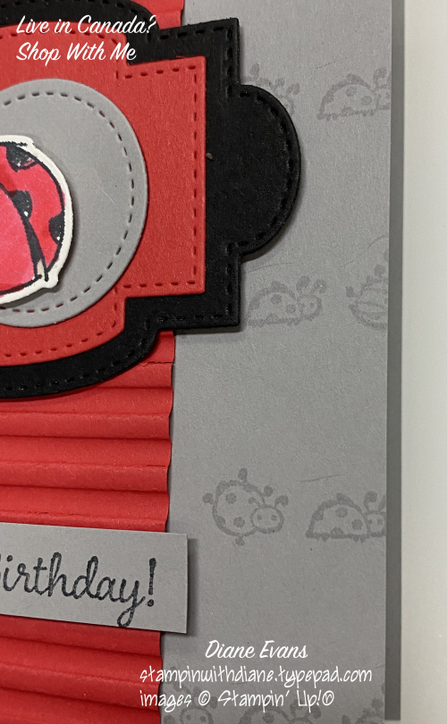 Diane Evans Little Laybug 3 Stampin' Up!® Diane Evans Little Laybug 3 Stampin' Up!®