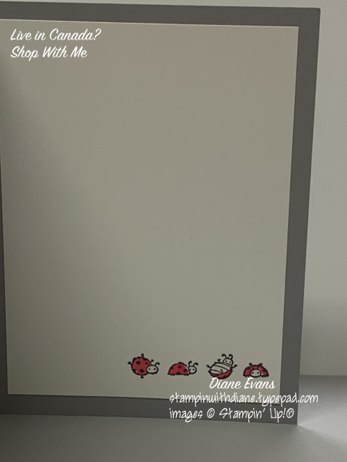 Diane Evans Little Lady Bug 2 Stampin' Up!® Diane Evans Little Lady Bug 2 Stampin' Up!®
