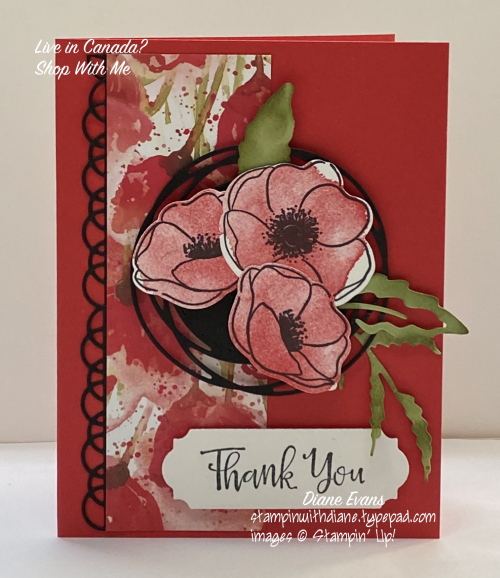 Diane Evans painted Poppies Stampin' Up!® Diane Evans painted Poppies Stampin' Up!®