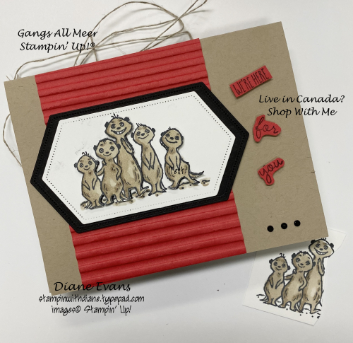 Diane Evans The Gangs All Meer Stampin' Up!