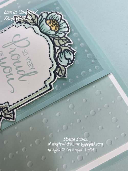 Diane Evans Closeup Tags in Bl Diane Evans Closeup Tags in Bl