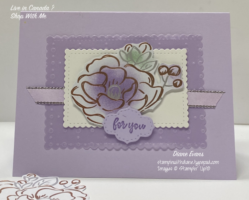 Diane Evans Stampin Up Saleabration
