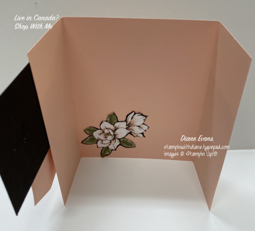Diane Evans Gate Fold crd Stampin Up! Diane Evans Gate Fold crd Stampin Up!