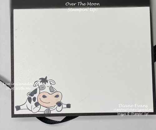 Stampin With Diane Over The Moon Stampin' Up!3 Stampin With Diane Over The Moon Stampin' Up!3