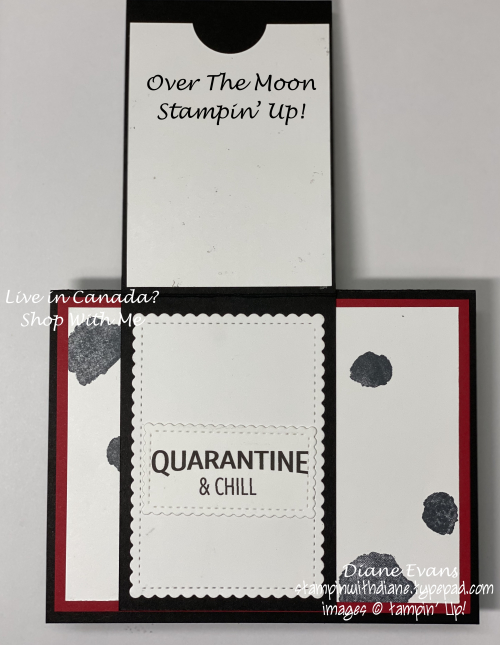 Stampin With Diane Over The Moon Stampin' Up! Stampin With Diane Over The Moon Stampin' Up!