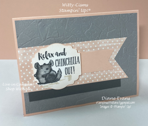 Stampin With Diane Witty-Cisms Stmpin Up! Stampin With Diane Witty-Cisms Stmpin Up!