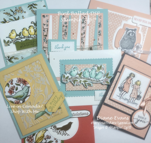 Stmapin With Diane Bird Ballad DSP SU