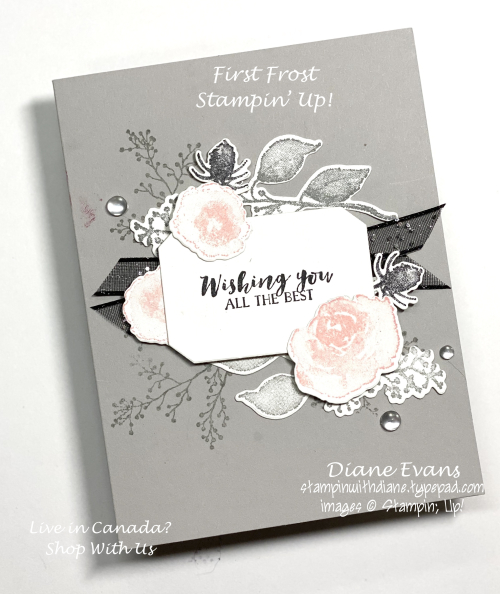 Stampin With Diane First Frost