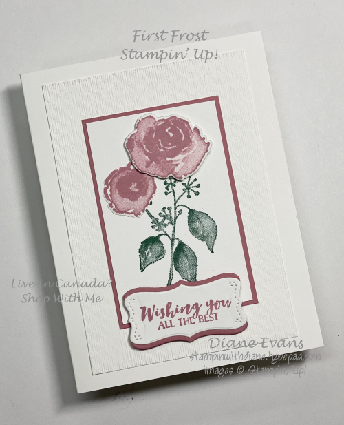 Stampin With Diane Firt Frost 1