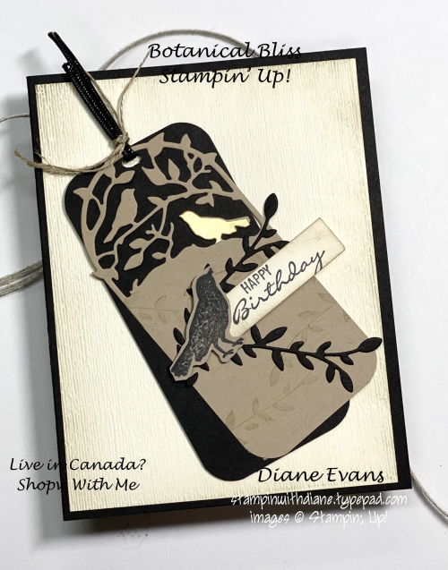 Stampin With Diane Botanical Bliss