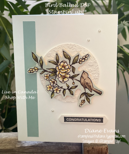 Stampin With Diane Bird Ballad DSP Su! Stampin With Diane Bird Ballad DSP Su!
