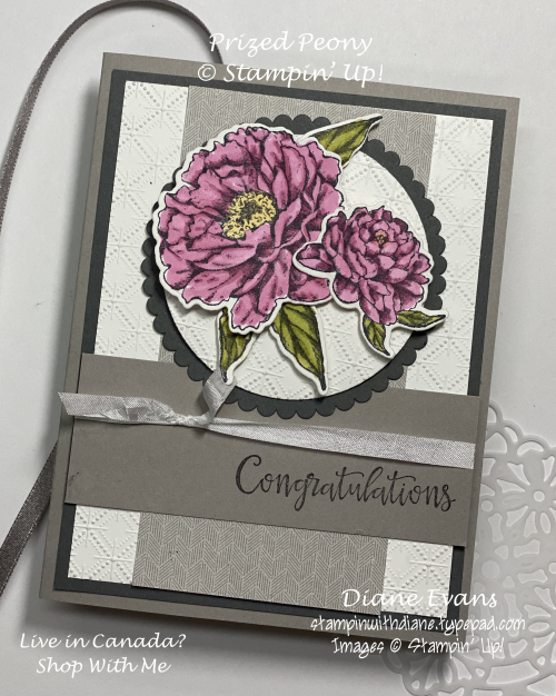 Stampin With Diane Prized Peopny 3 