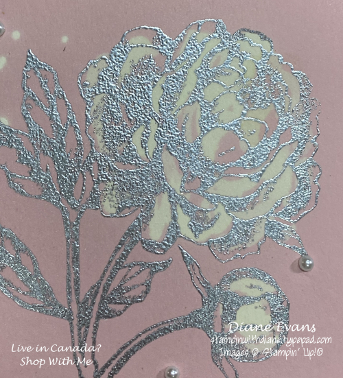 Stampin With Diane Evans Bleached Close up