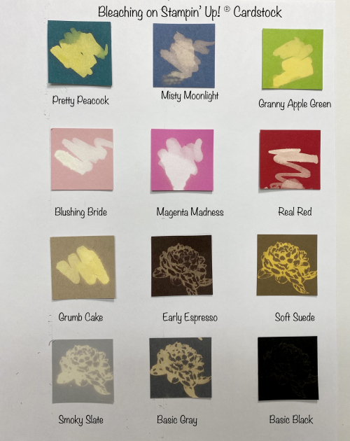 Stampin With Diane Evans Bleaching Cardstock 1