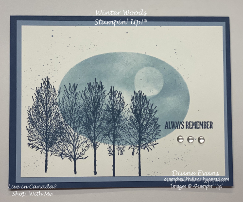 Stampin With Diane Evans Winter woods SU Stampin With Diane Evans Winter woods SU